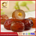 Hot Sale Chinese Dried Date New Crop